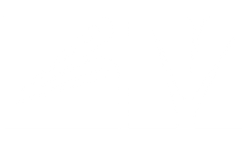 Bajari Media Web White Logo